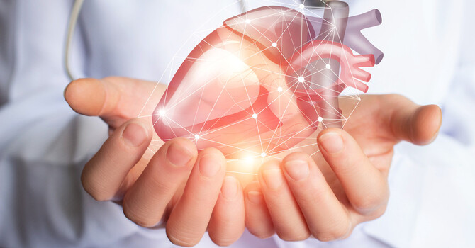 Cardiovascular Disease image