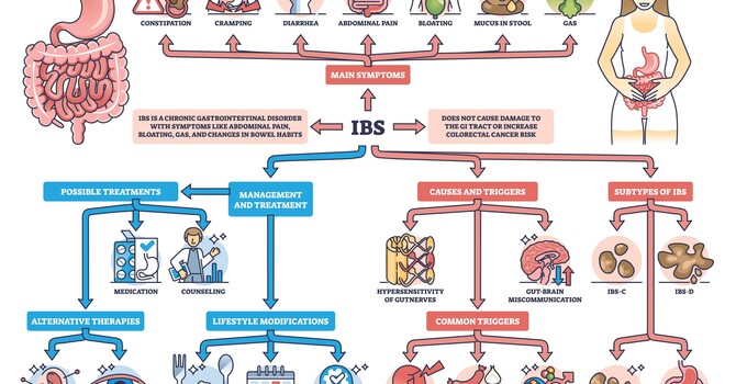 A Natural Medicine Guide to Diagnosing and Treating Digestive Disorders image