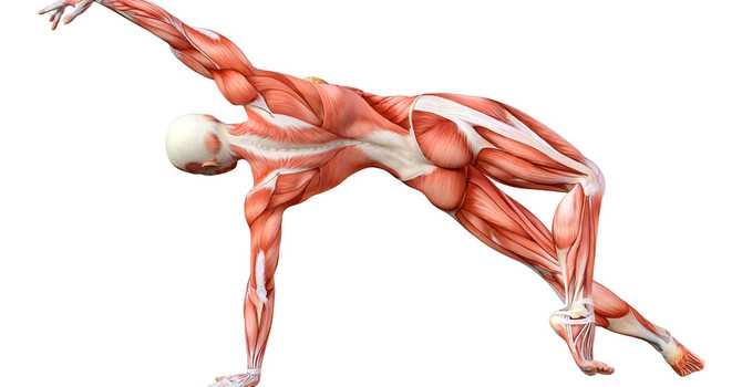 Inflammation
