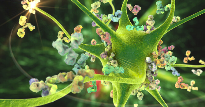 Food Allergies & Sensitivities: Saint Paul image