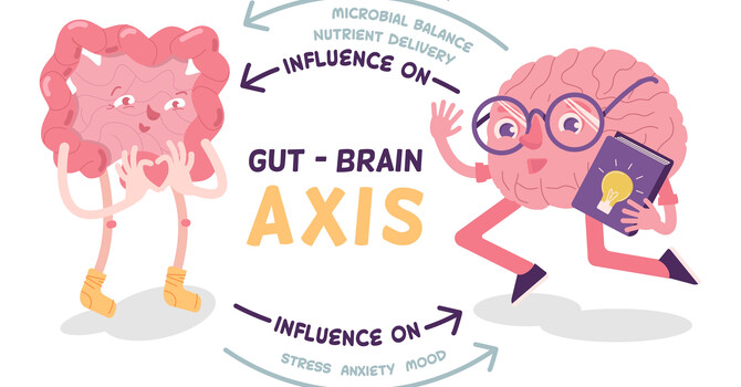Gut Brain Connection image
