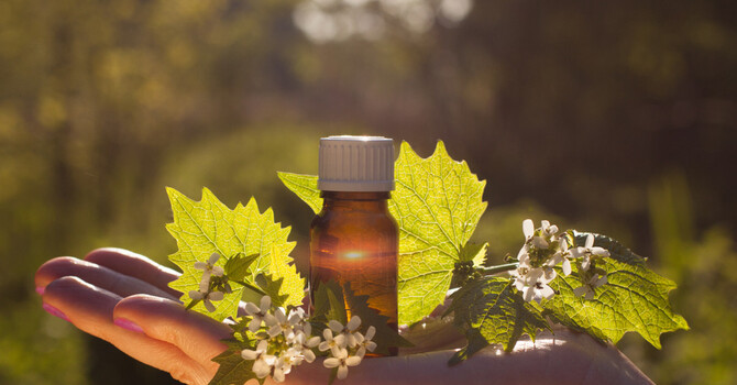 Functional Medicine in Saint Paul Minnesota image