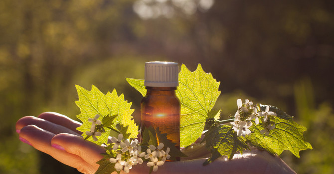 Functional Medicine in Saint Paul Minnesota