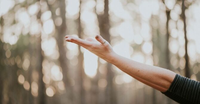 Myofascial-Neuromuscular Therapy 